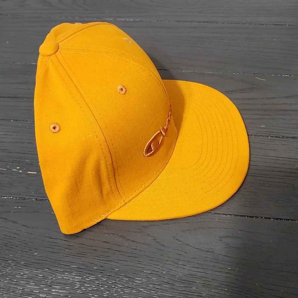 Champion snap back hat - Picture 5 of 7